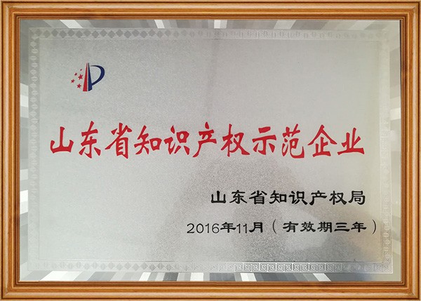 山東省知識產(chǎn)權示范企業(yè)