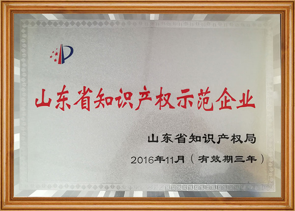 山東省知識產(chǎn)權示范企業(yè)(圖1)